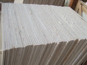 Crema Marfil slabs